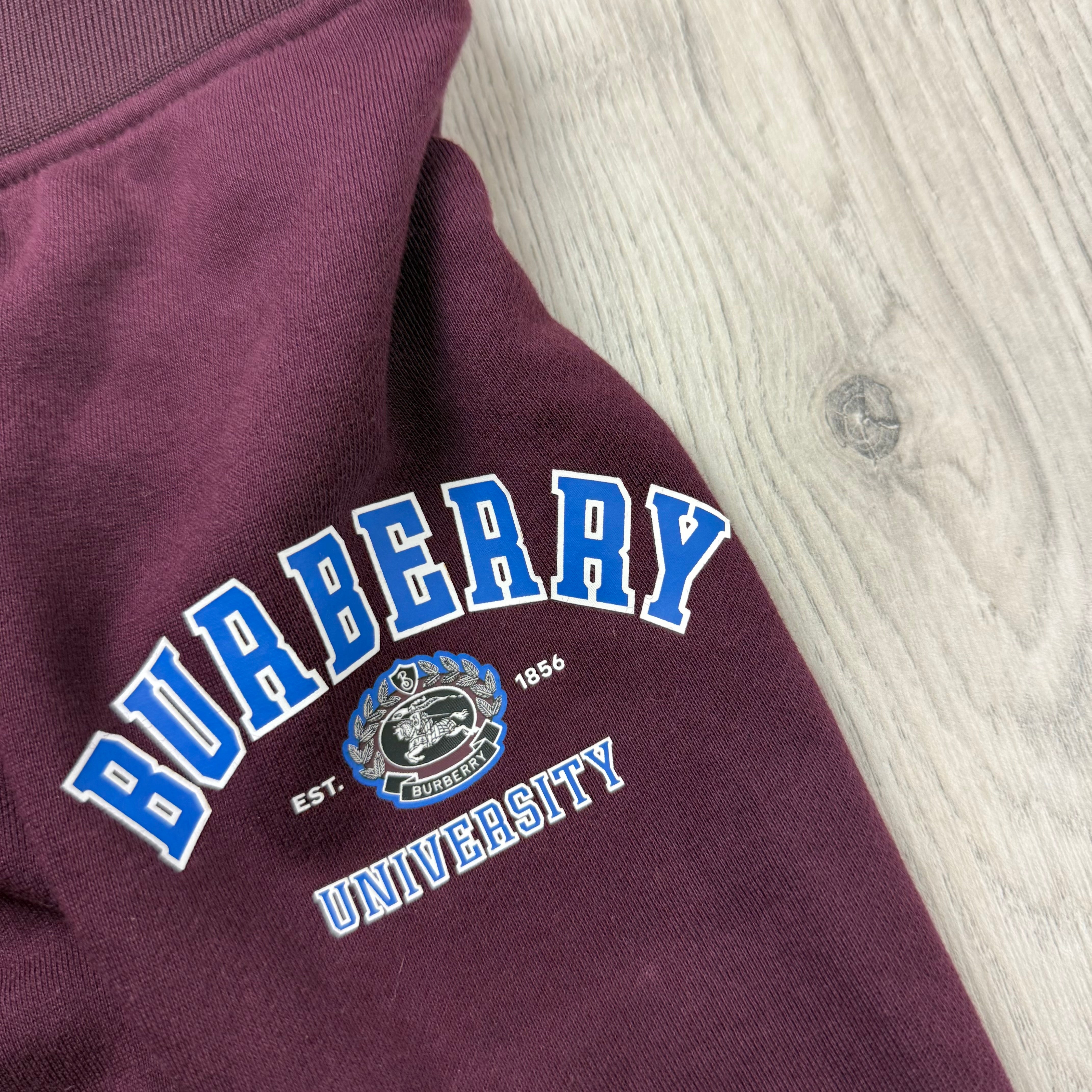 Burberry Junior Sweatpants - Burgundy